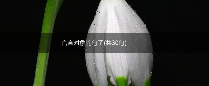 官宣对象的句子(共30句),第1张