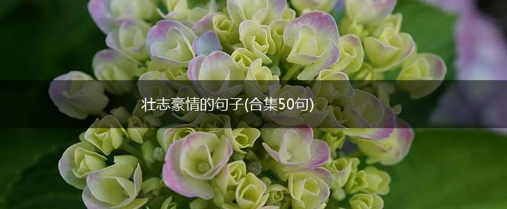 壮志豪情的句子(合集50句),第1张