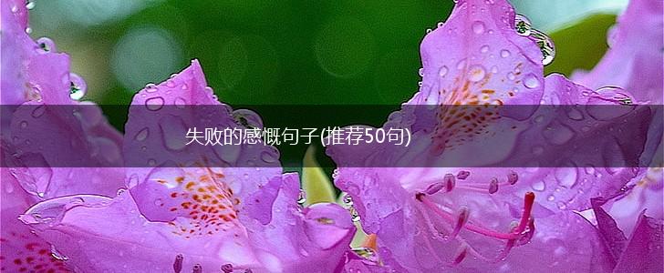 失败的感慨句子(推荐50句),第1张