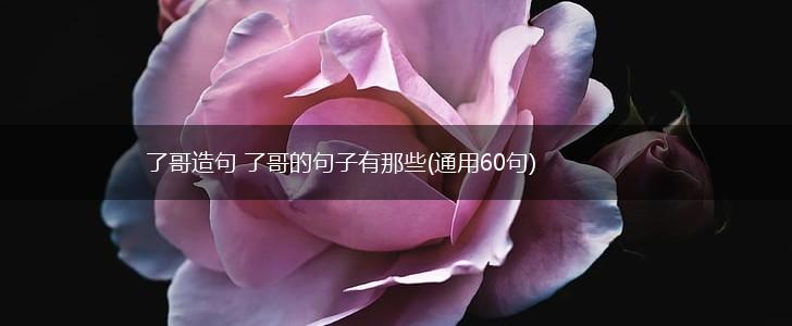 了哥造句 了哥的句子有那些(通用60句),第1张