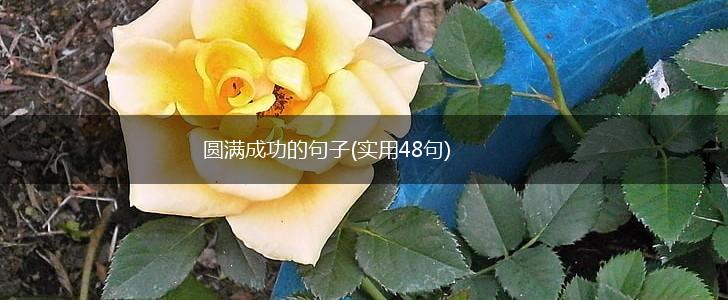 圆满成功的句子(实用48句),第1张