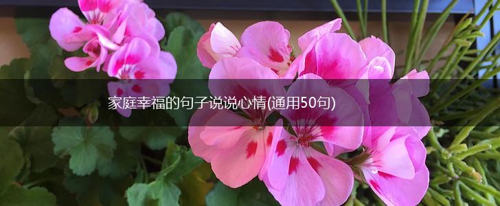 家庭幸福的句子说说心情(通用50句),第1张