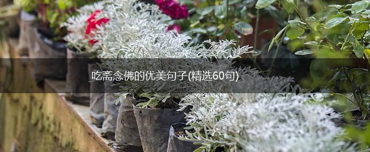 吃斋念佛的优美句子(精选60句),第1张