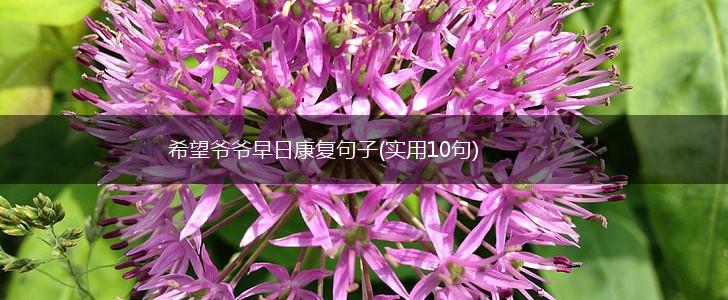 希望爷爷早日康复句子(实用10句),第1张