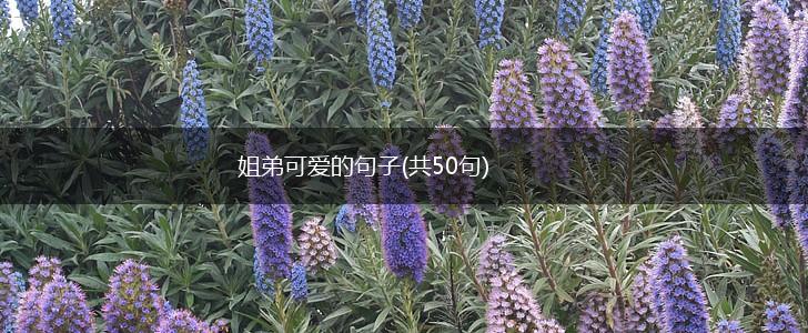 姐弟可爱的句子(共50句),第1张
