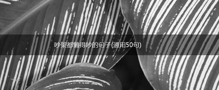 吵架都懒得吵的句子(通用50句),第1张