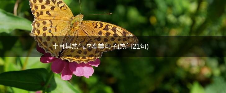 土耳其热气球唯美句子(热门21句),第1张
