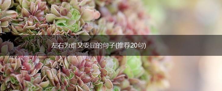 左右为难又委屈的句子(推荐20句),第1张