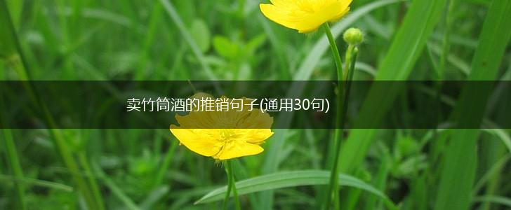 卖竹筒酒的推销句子(通用30句),第1张