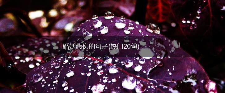 婚姻悲伤的句子(热门20句),第1张