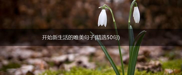 开始新生活的唯美句子(精选50句),第1张