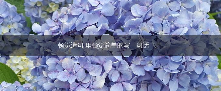 顿觉造句 用顿觉简单的写一句话,第1张