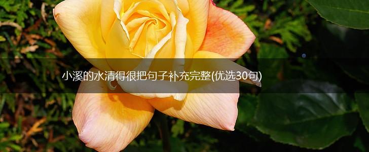 小溪的水清得很把句子补充完整(优选30句),第1张