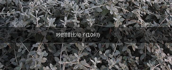 吵的排比句子(10句),第1张