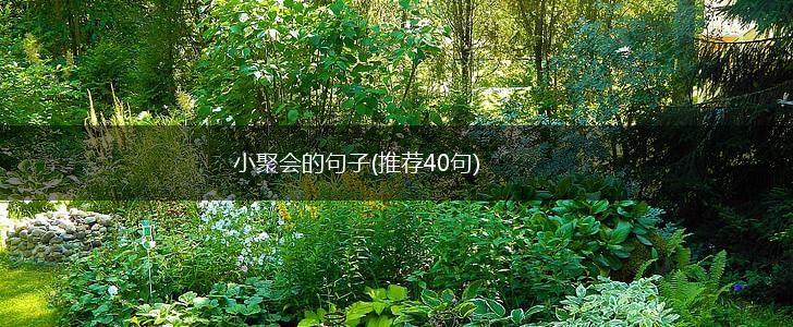 小聚会的句子(推荐40句),第1张