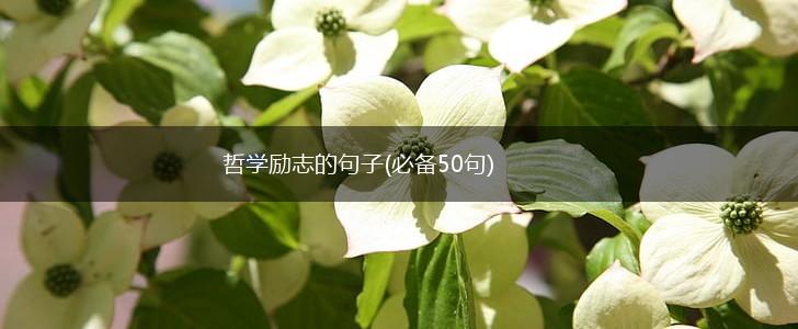 哲学励志的句子(必备50句),第1张