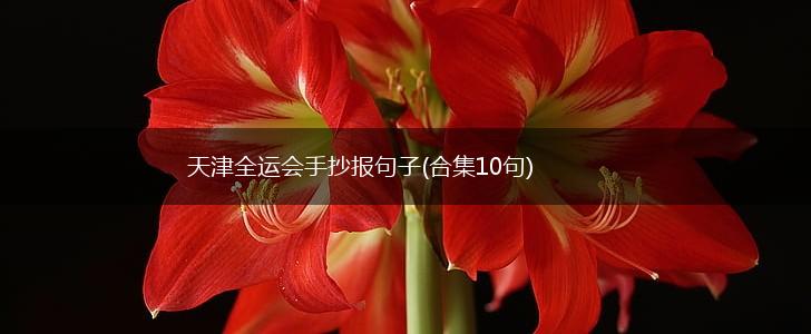 天津全运会手抄报句子(合集10句),第1张