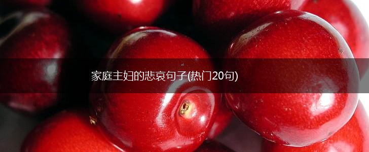 家庭主妇的悲哀句子(热门20句),第1张