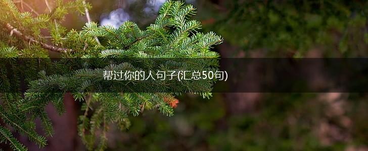 帮过你的人句子(汇总50句),第1张