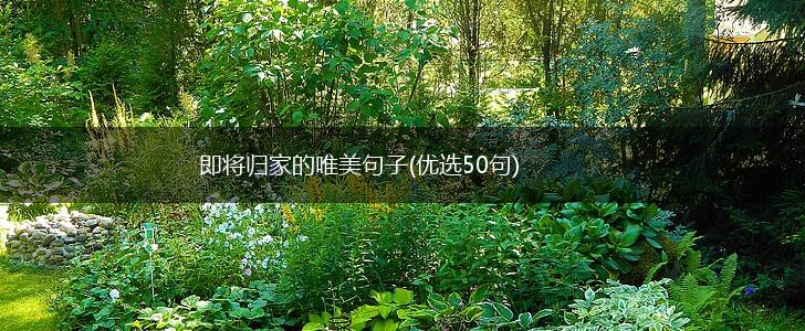 即将归家的唯美句子(优选50句),第1张