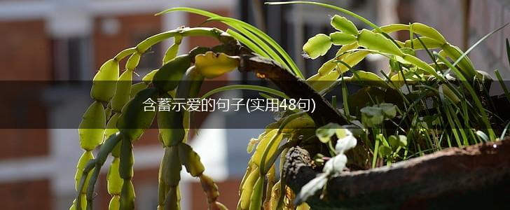 含蓄示爱的句子(实用48句),第1张
