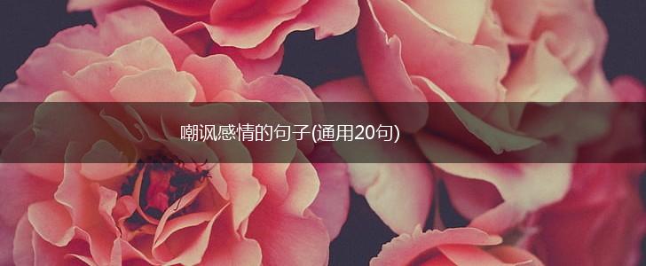 嘲讽感情的句子(通用20句),第1张