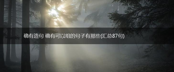 确有造句 确有可以组的句子有那些(汇总87句),第1张