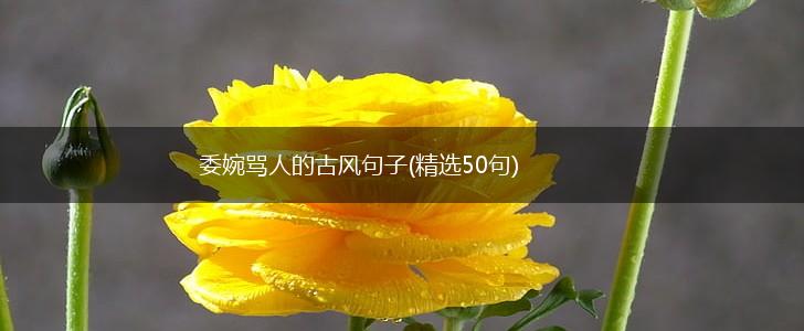 委婉骂人的古风句子(精选50句),第1张