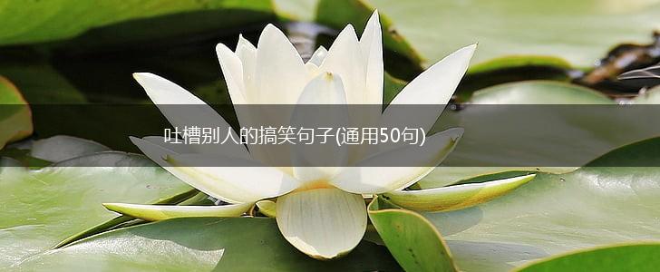 吐槽别人的搞笑句子(通用50句),第1张