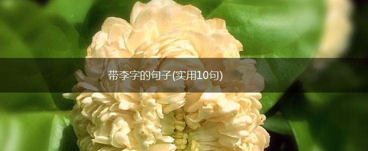 带李字的句子(实用10句),第1张