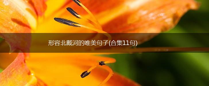 形容北戴河的唯美句子(合集11句),第1张