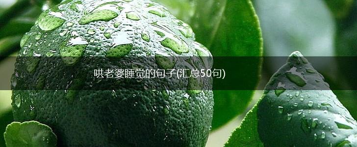哄老婆睡觉的句子(汇总50句),第1张