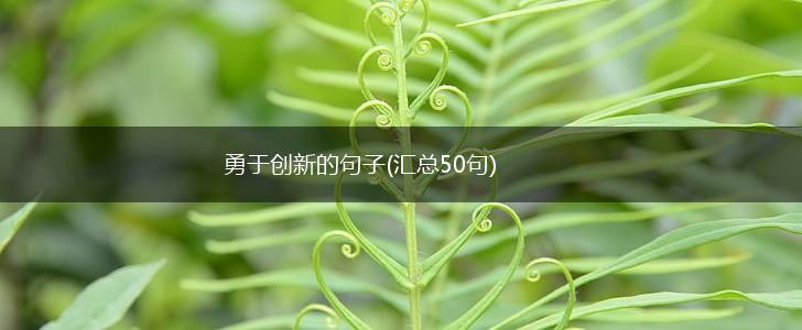 勇于创新的句子(汇总50句),第1张
