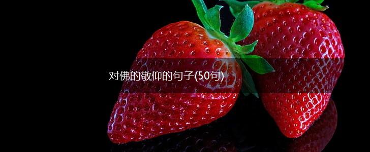 对佛的敬仰的句子(50句),第1张
