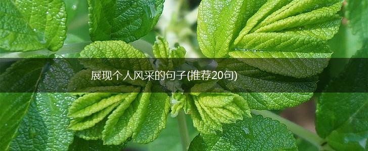 展现个人风采的句子(推荐20句),第1张