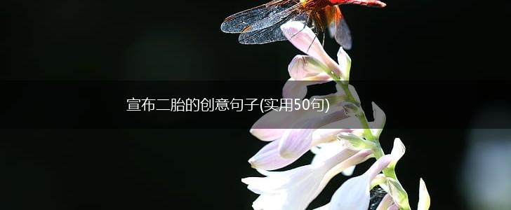 宣布二胎的创意句子(实用50句),第1张