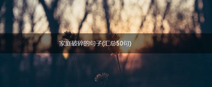 家庭破碎的句子(汇总50句),第1张