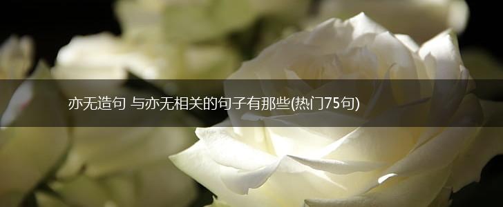 亦无造句 与亦无相关的句子有那些(热门75句),第1张
