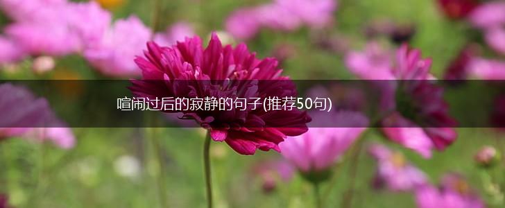 喧闹过后的寂静的句子(推荐50句),第1张