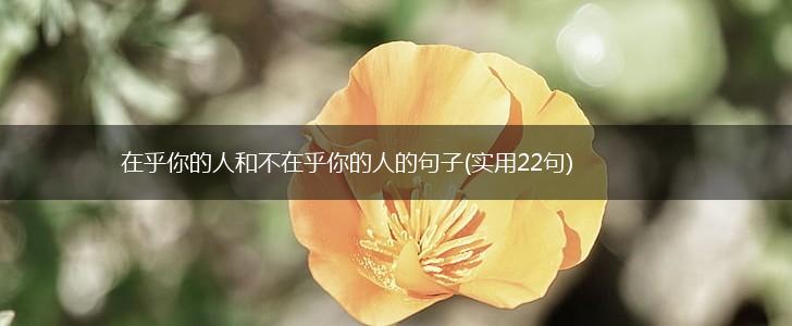 在乎你的人和不在乎你的人的句子(实用22句),第1张