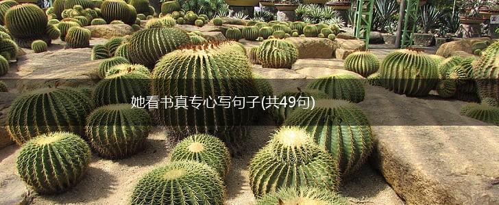 她看书真专心写句子(共49句),第1张