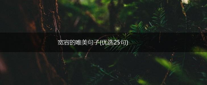 宽容的唯美句子(优选25句),第1张