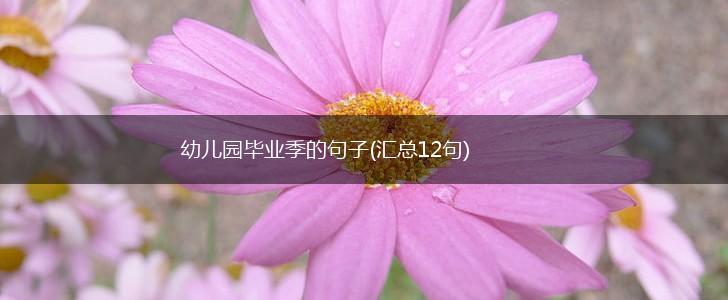 幼儿园毕业季的句子(汇总12句),第1张