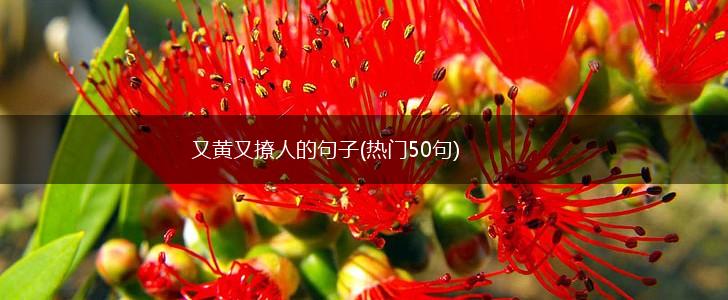 又黄又撩人的句子(热门50句),第1张