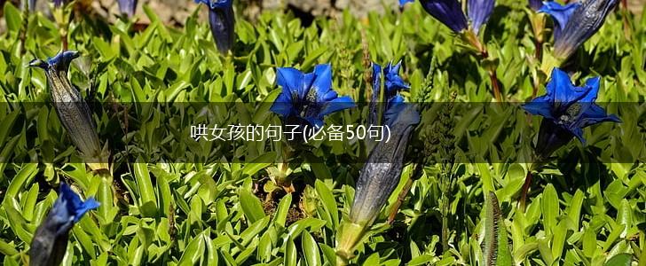 哄女孩的句子(必备50句),第1张
