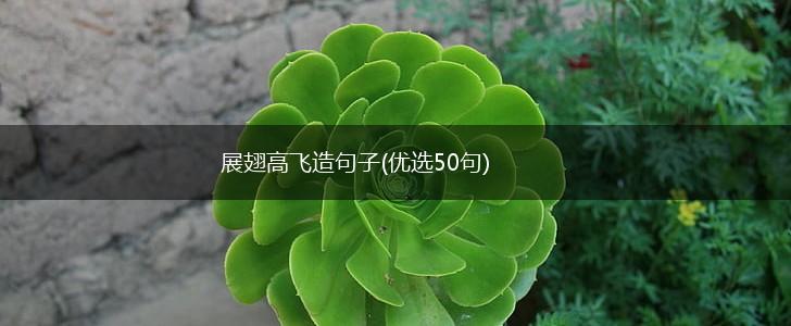 展翅高飞造句子(优选50句),第1张