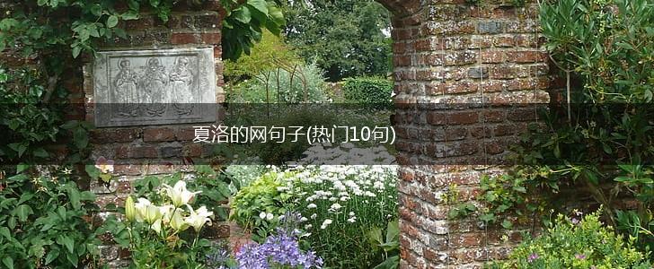 夏洛的网句子(热门10句),第1张