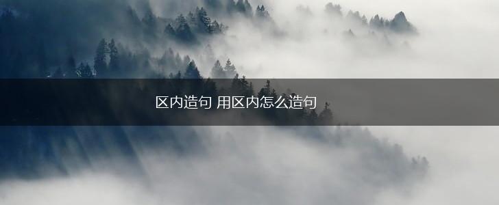 区内造句 用区内怎么造句,第1张