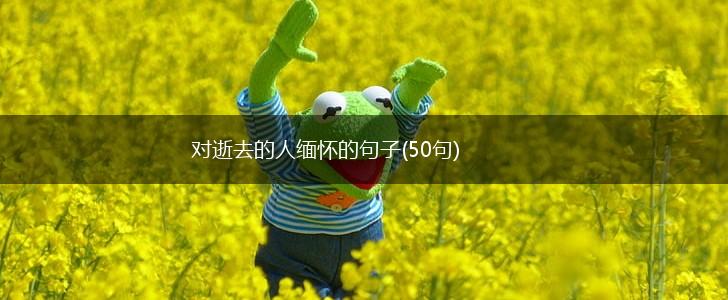 对逝去的人缅怀的句子(50句),第1张
