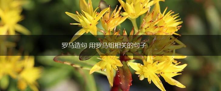 罗马造句 用罗马组相关的句子,第1张